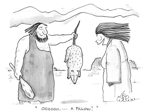 "Oooooo, …. A pillow!"