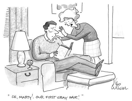 "Oh, Marty! Our first gray hair!"