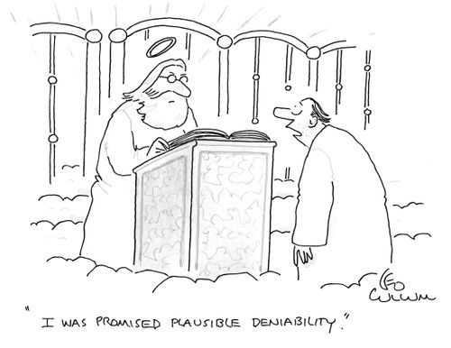 "I was promised plausible deniability."