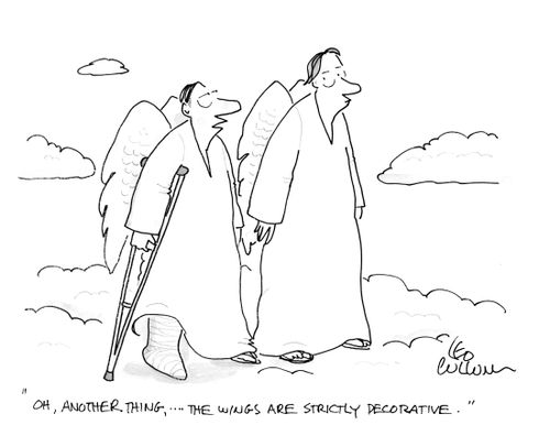 "Oh, another thing, …. the wings are strictly decorative."