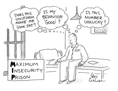 Maximum Insecurity Prison