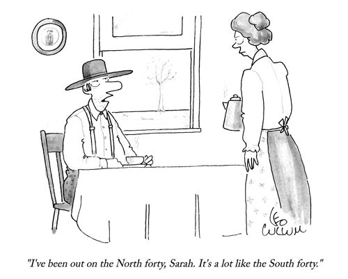 "I've been out on the North forty, Sarah. It's a lot like the South forty."
