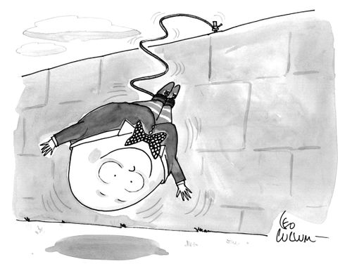Humpty Dumpty goes bungee jumping.