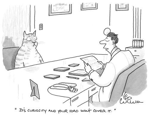 "It's curiosity and your HMO won't cover it."