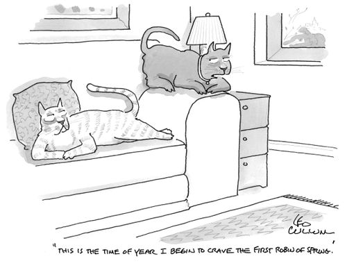 "This is the time of year I begin to crave the first Robin of spring."