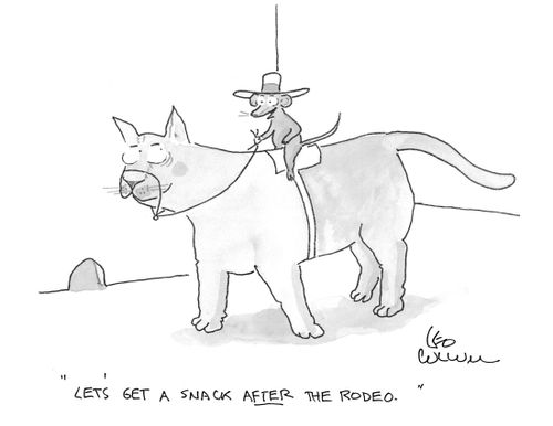 "Let's get a snack after the rodeo."