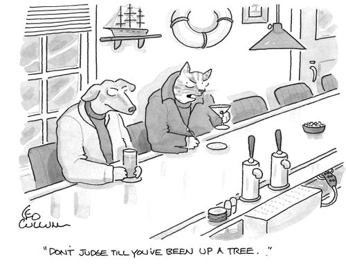 "Don't judge till you've been up a tree."