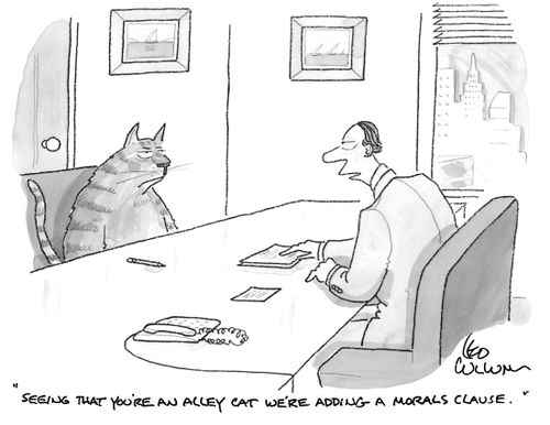 "Seeing that you're an alley cat we're adding a morals clause."