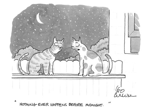 "Nothing ever happens before midnight."