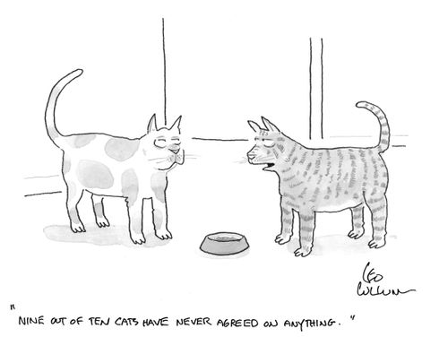 "Nine out of ten cats have never agreed on anything."