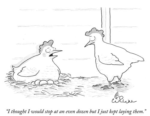 "I thought I would stop at an even dozen but I just kept laying them."