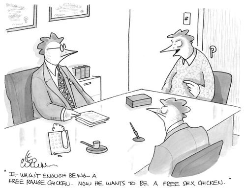 "It wasn't enough being a free range chicken. Now he wants to be a free sex chicken."