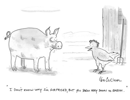 "I don't know why I'm surprised, but you seem very down to earth."