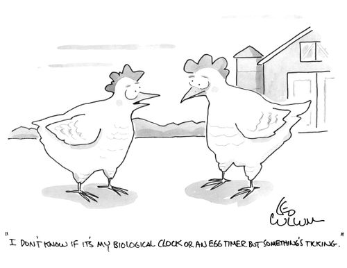 " I don't know if it's my biological clock or an egg timer but something's ticking."