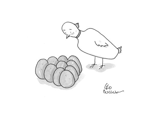 A bowling pin shaped chicken has lined up her eggs in a bowling pin formation.