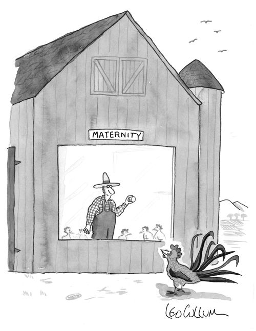 Maternity ward on the farm.