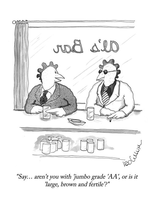 "Say… aren't you with 'jumbo grade 'AA', or is it 'large, brown and fertile'?"
