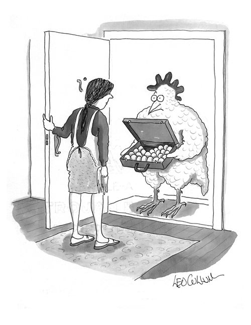 Chicken Salesman