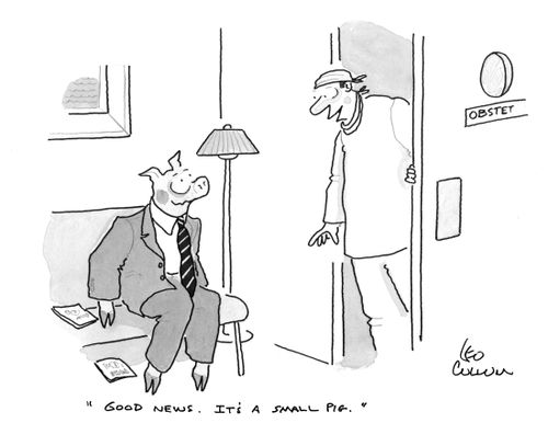 "Good news. It's a small pig."