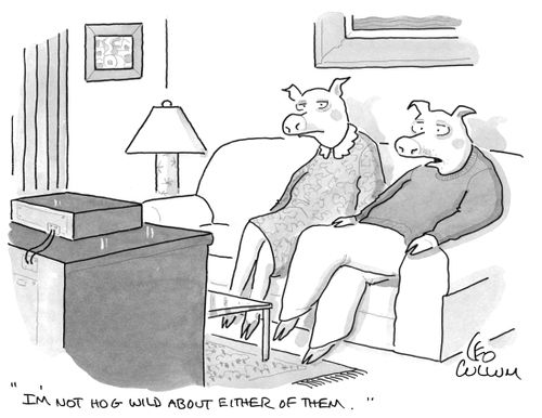 "I'm not hog wild about either of them."