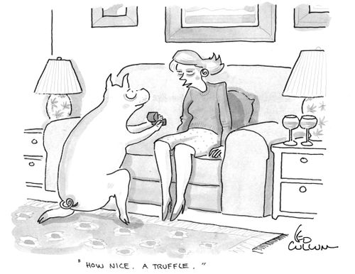 "How nice. A truffle."
