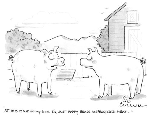 "At this point in my life I'm just happy being unprocessed meat."