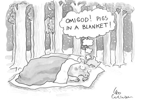 (Omi God! Pigs in a blanket!)