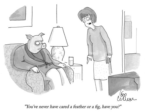 "You've never have cared a feather or a fig, have you?"
