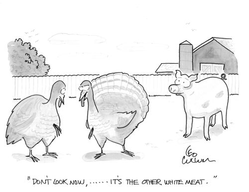 "Don't look now, …. It's the other white meat."