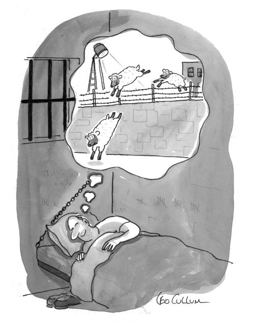 A prisoner dreams of sheep jumping over the walls of the jail.