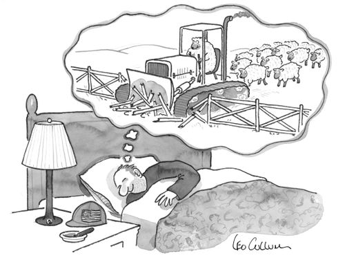Man dreams of sheep escaping from farm.