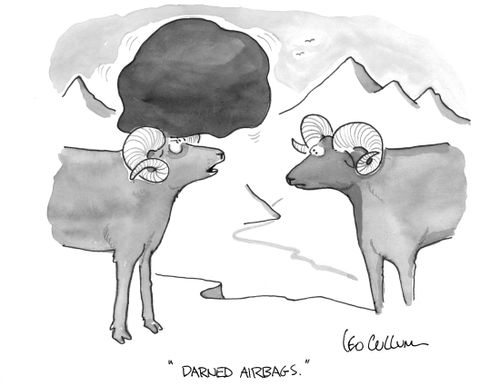 "Darned airbags."