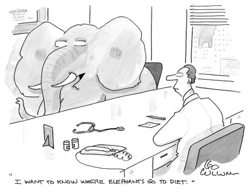 "I want to know where elephants go to diet."