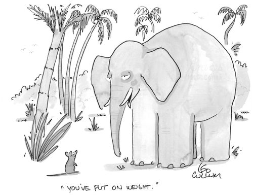 "You've put on weight."
