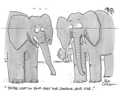 "You're light on your feet for someone your size."