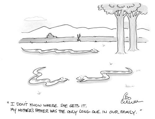 "I don't know where she gets it. My mother's father was the only long one in our family."