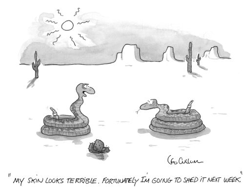 "My skin looks terrible. Fortunately I'm going to shed it next week."
