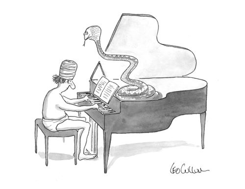 A snake charmer using a piano to tame a snake.