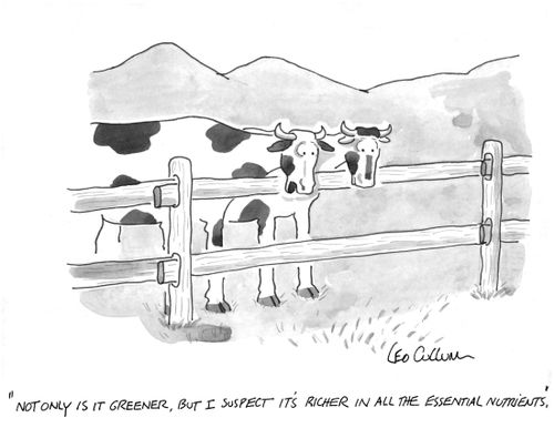 "Not only is it greener, but I suspect it's richer in all the essential nutrients."