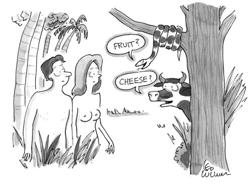 "Fruit?" "Cheese?"