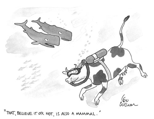 "That, believe it or not, is also a mammal."