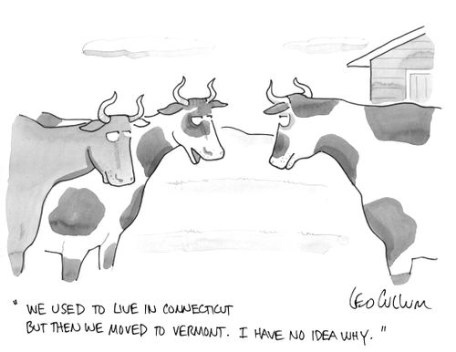 "We used to live in Connecticut but then we moved to Vermont. I have no idea why."