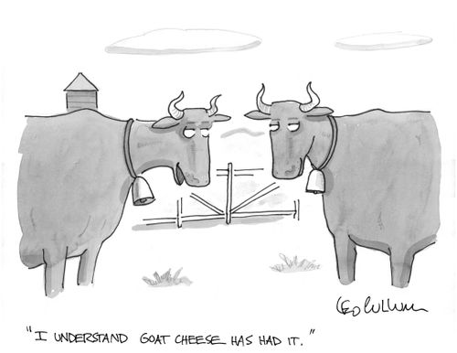 "I understand goat cheese has had it."