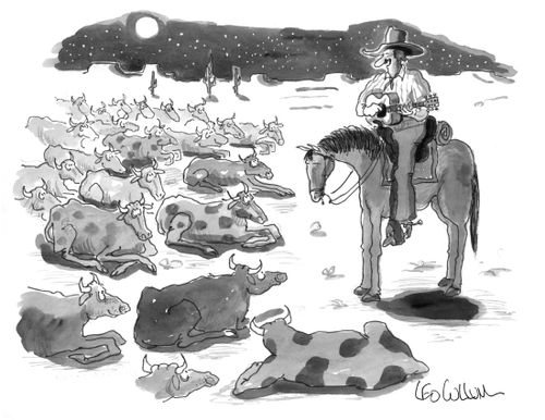 A cowboy sings a lullaby to his cows to get them to sleep.