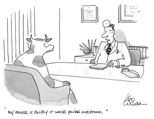 "My advice is enjoy it while you're livestock."