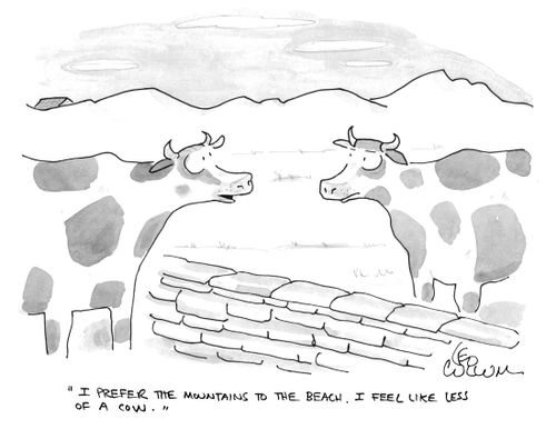 "I prefer the mountains to the beach. I feel like less of a cow.''
