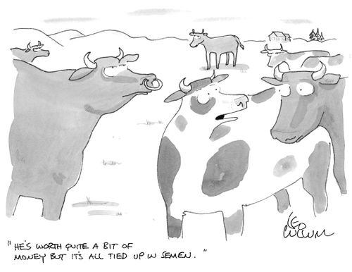 "He's worth quite a bit of money but it's all tied up in semen.''