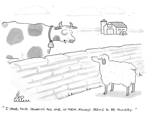 "I have four stomachs and one of them always seems to be hungry.''