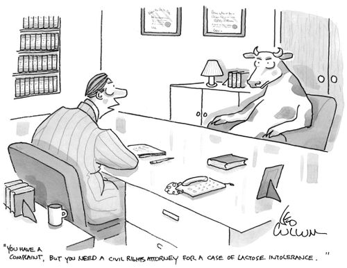 "You have a complaint, but you need a civil rights attorney for a case of lactose intolerance.''