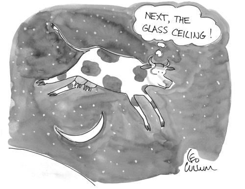 Next, the glass ceiling!